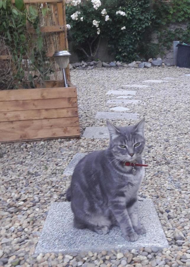 Le Jardin De Mimi Apartman Lézignan-Corbières Kültér fotó