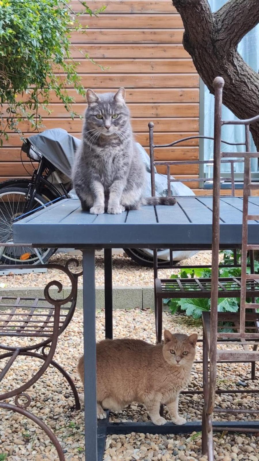 Le Jardin De Mimi Apartman Lézignan-Corbières Kültér fotó